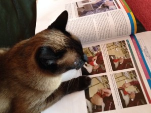 takker looking at book