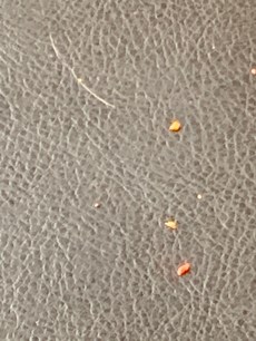 f9qDoLf2Rp+t7XYD3m%fMQ